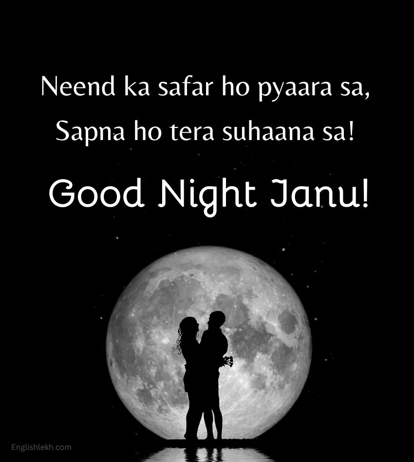 Love Good Night Shayari for Janu