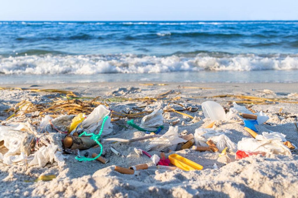 The Impact of dlhpalopo.org on Waste Reduction Initiatives