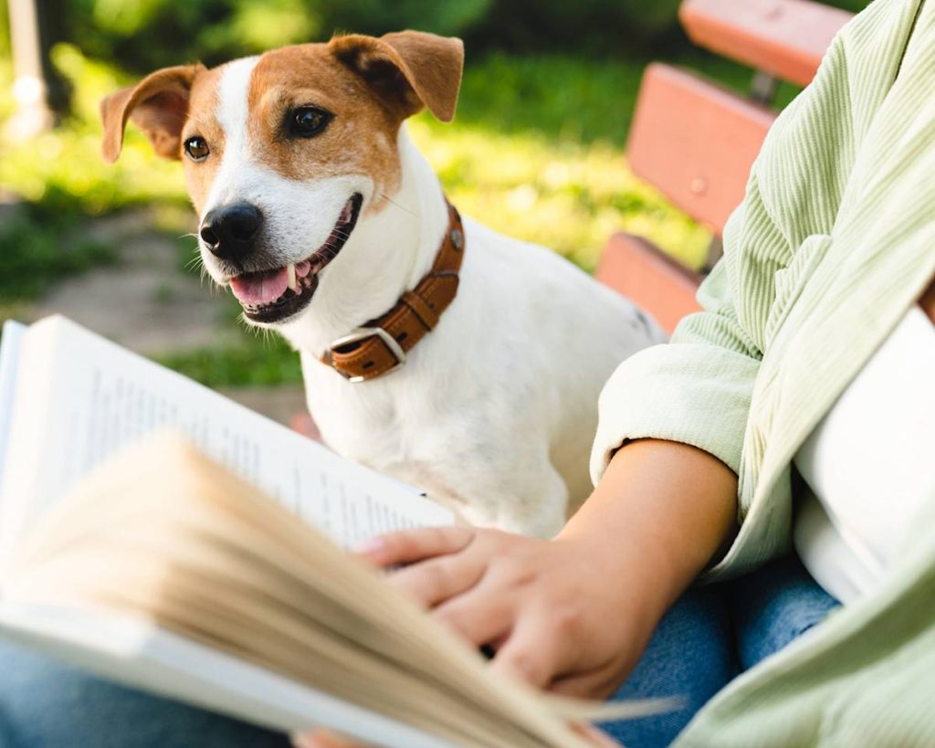 Pet Psychic Reading Basics for First-Time Pet Owners